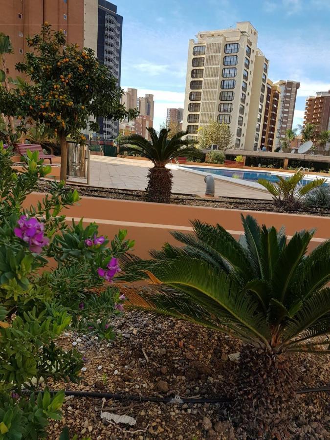 Fabuloso Apartamento En Appartement